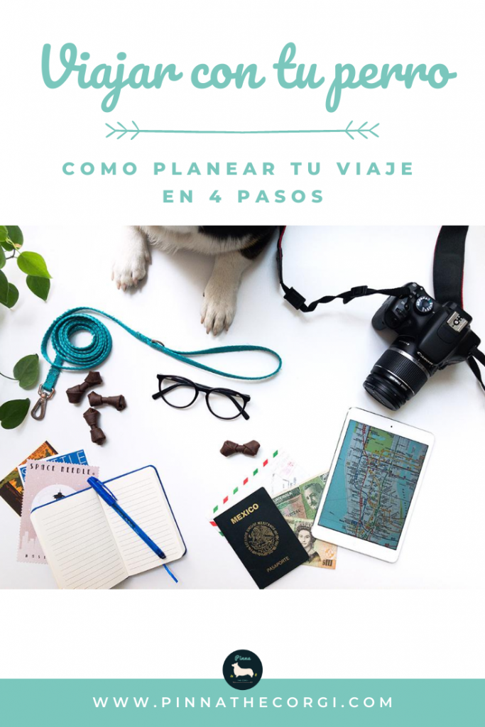 Viajar con perro no es imposible, aprende a planear tu viaje en 4 pasos PinnaTheCorgi #viajarconperro #viajepetfriendly