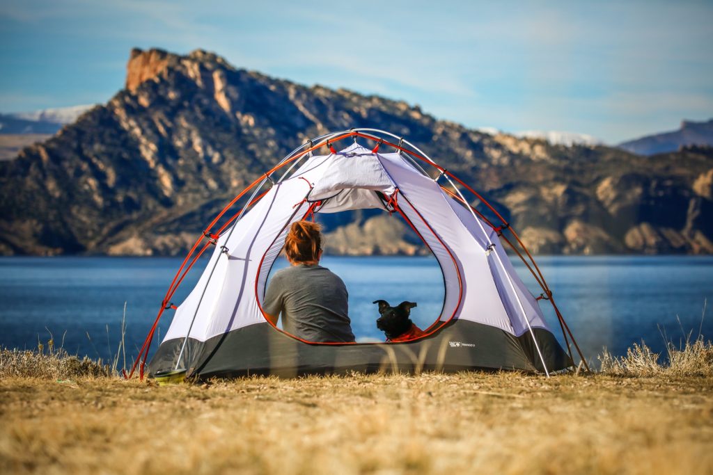 mujer y perro acampando junto a lago