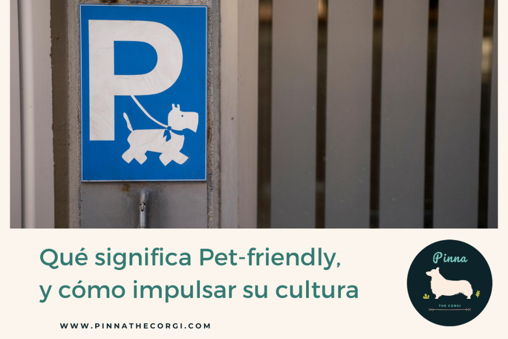 Qué significa pet-friendly y cómo impulsar su cultura - Pinna the corgi