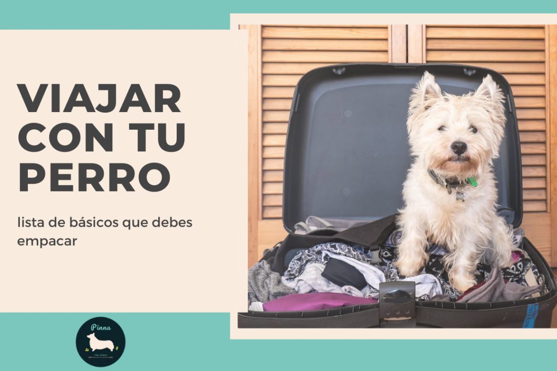 Que debes de empacar cuando viajes con tu perro PinnaTheCorgi