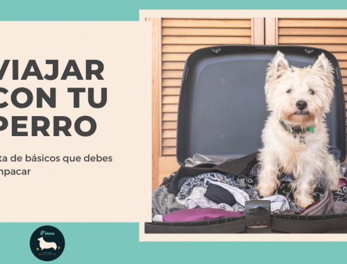 Que debes de empacar cuando viajes con tu perro PinnaTheCorgi