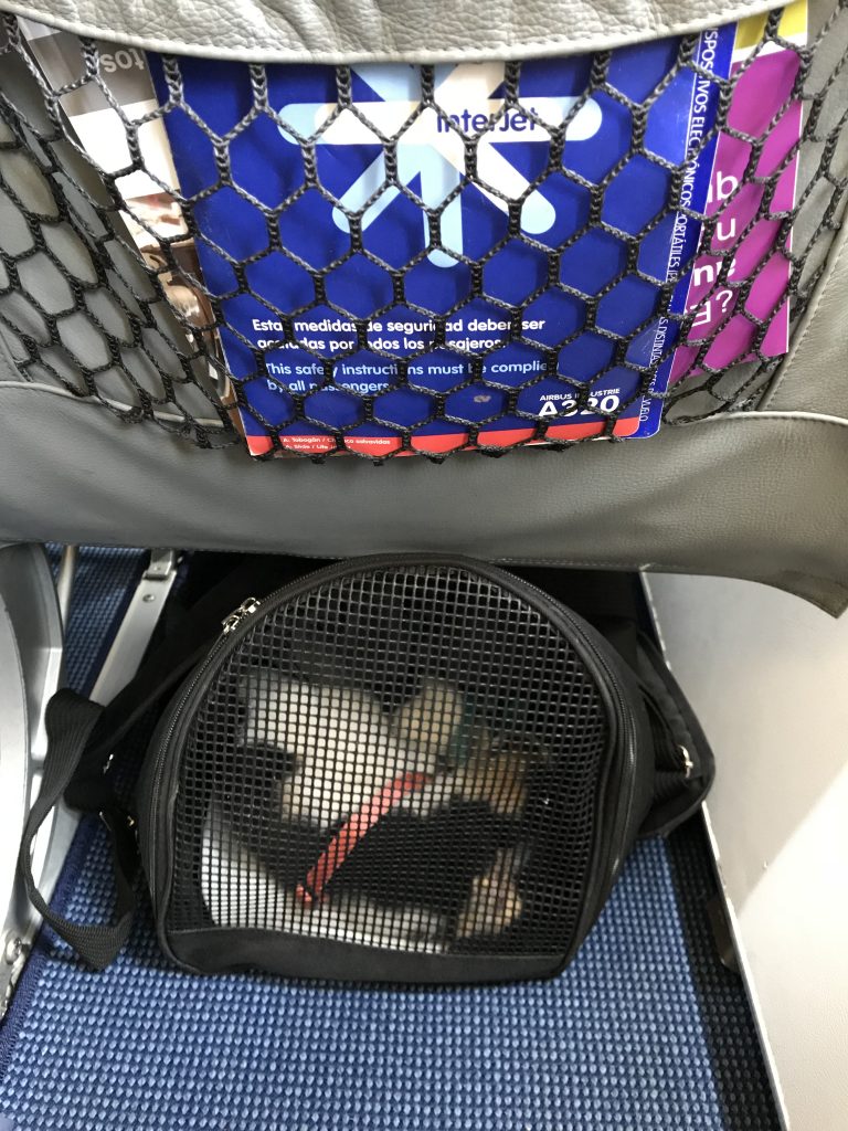 Perro viajando en avion dentro de transportadora blanda debajo de asiento de pasajero Pinnathecorgi