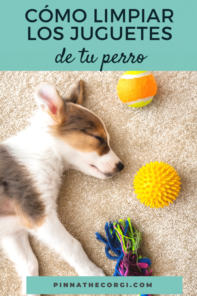 inicial Desconocido Derivar Cómo limpiar los juguetes para perro: consejos prácticos - Pinna the corgi
