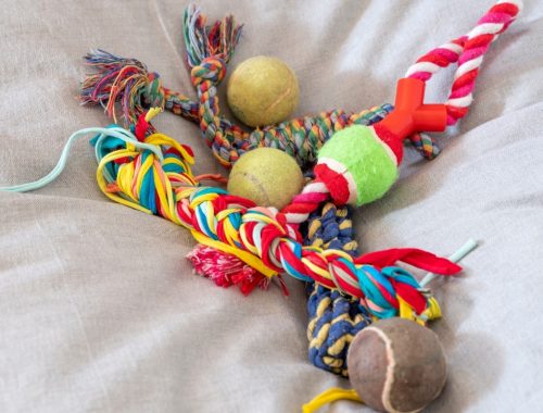 juguetes de cuerda para perro y pelotas de tenis