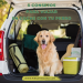 5 consejos para viajar en coche con tu perro Pinnathecorgi