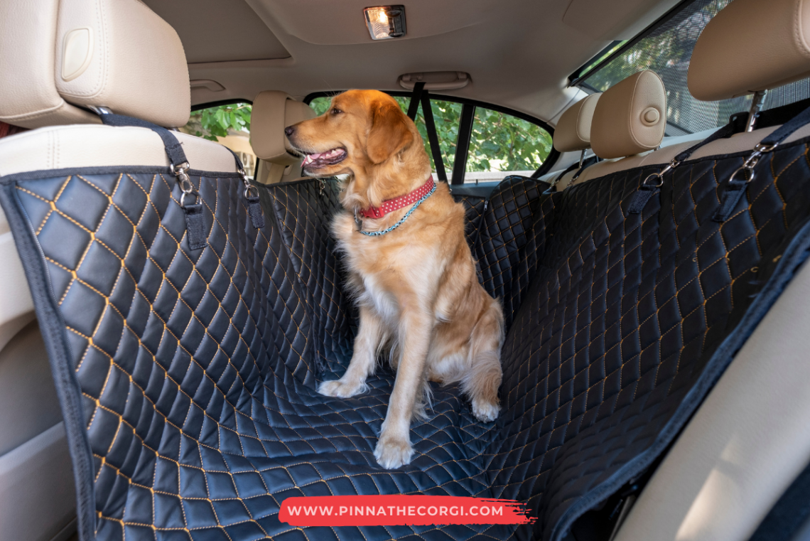 Cómo viajar con los perros en el coche