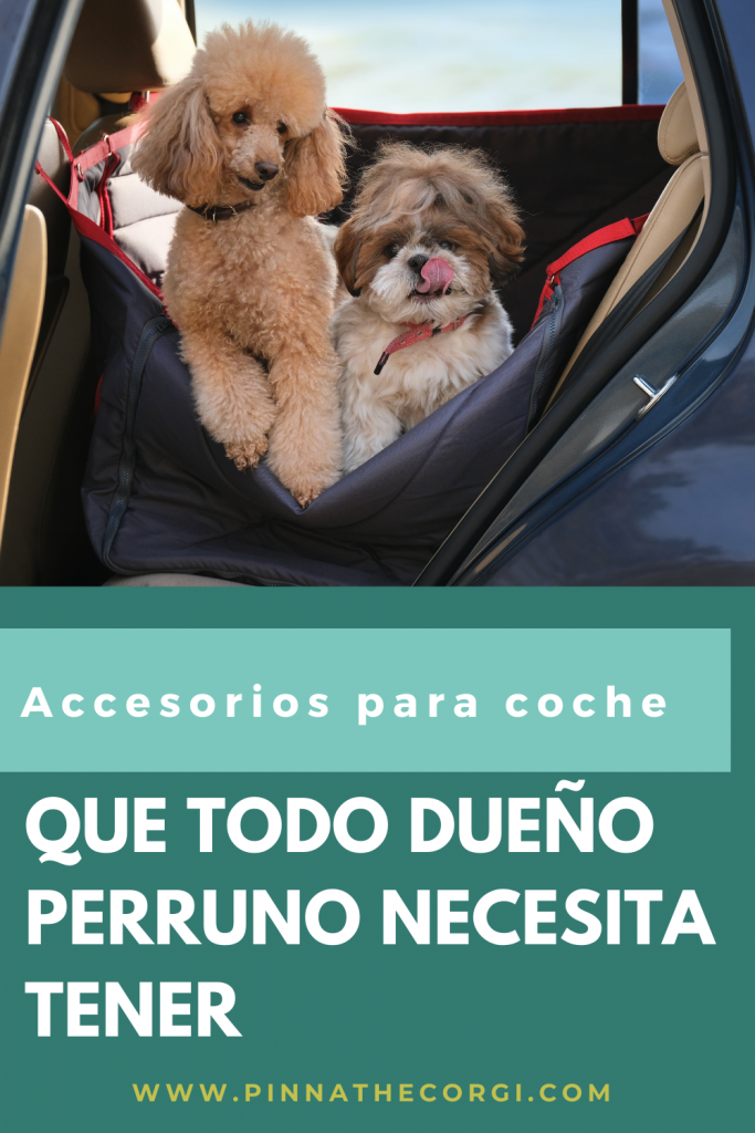 7 accesorios para viajar en coche con perro